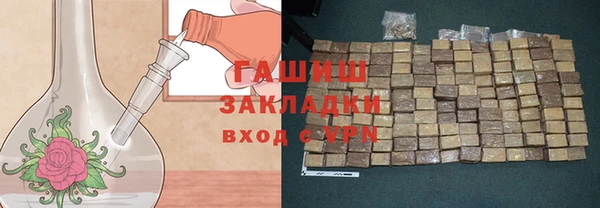 индика Алексин