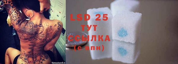 индика Алексин