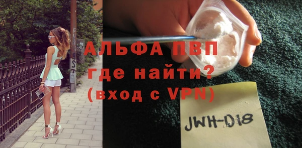 индика Алексин
