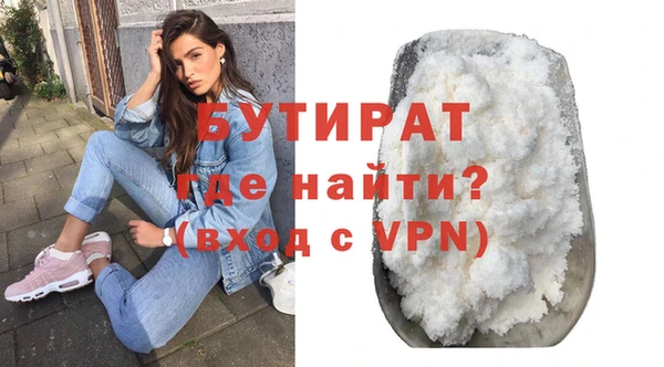индика Алексин
