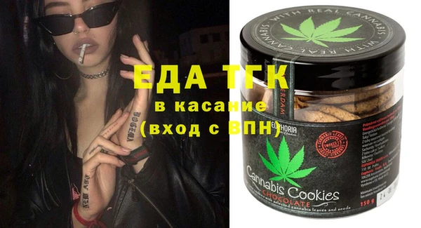 индика Алексин