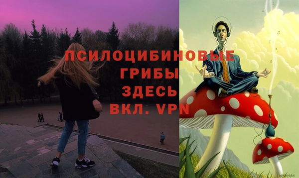 сатива Осинники