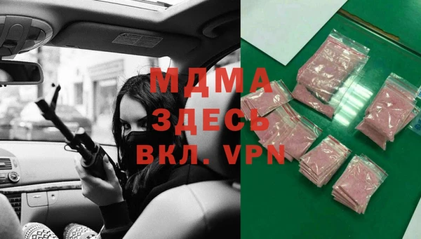 индика Алексин