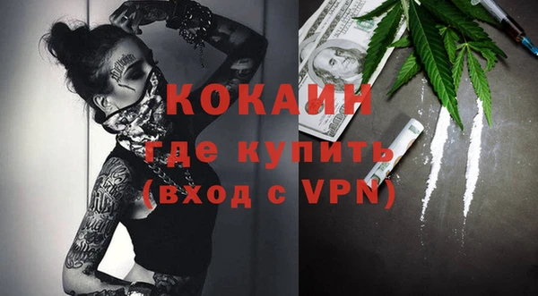 индика Алексин