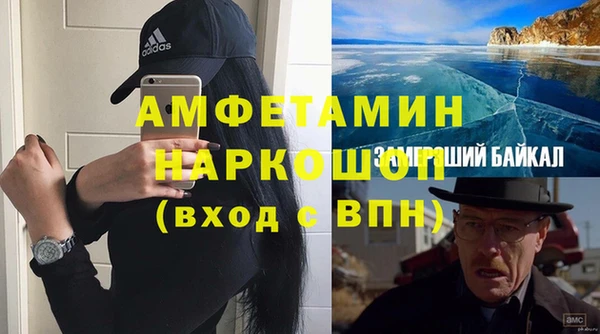 индика Алексин
