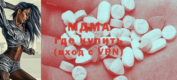 индика Алексин