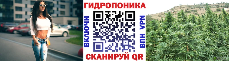 МАРИХУАНА Amnesia  Сортавала 